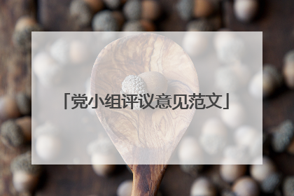 党小组评议意见范文