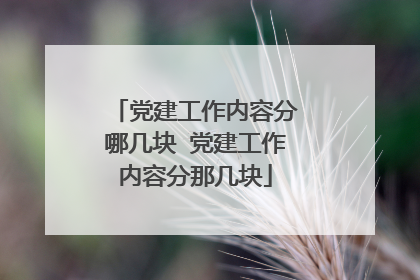 党建工作内容分哪几块 党建工作内容分那几块