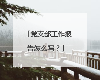 党支部工作报告怎么写？