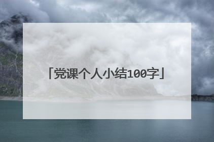党课个人小结100字