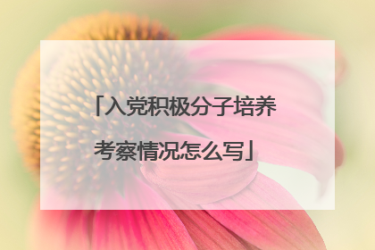 入党积极分子培养考察情况怎么写