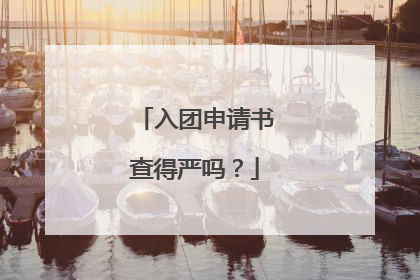 入团申请书查得严吗？