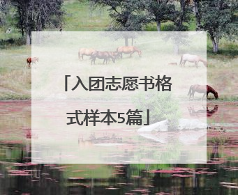 入团志愿书格式样本5篇