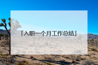 入职一个月工作总结