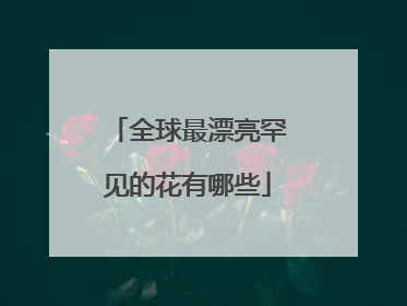 全球最漂亮罕见的花有哪些