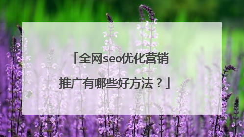全网seo优化营销推广有哪些好方法?