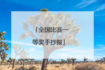 全国比赛一等奖手抄报