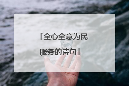 全心全意为民服务的诗句