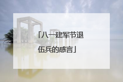 八一建军节退伍兵的感言