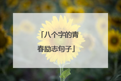 八个字的青春励志句子