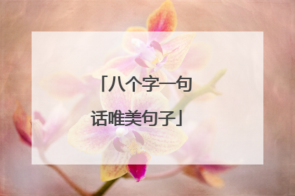 八个字一句话唯美句子