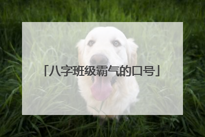八字班级霸气的口号