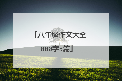 八年级作文大全800字3篇