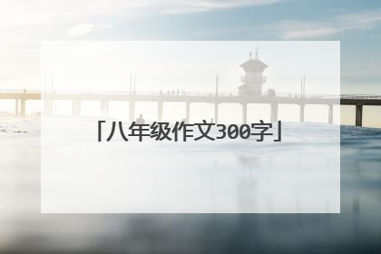 八年级作文300字