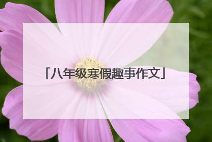 八年级寒假趣事作文