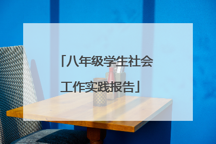 八年级学生社会工作实践报告