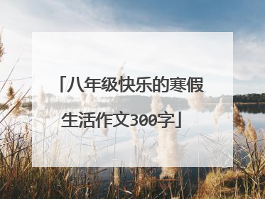 八年级快乐的寒假生活作文300字
