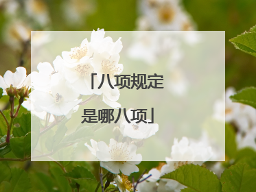 八项规定是哪八项