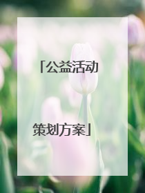 公益活动策划方案