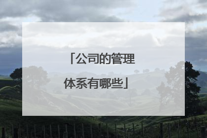 公司的管理体系有哪些