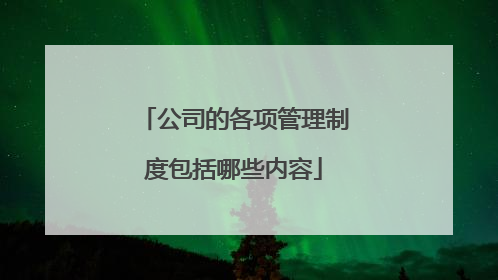 公司的各项管理制度包括哪些内容