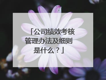 公司绩效考核管理办法及细则是什么？