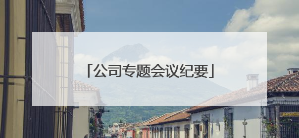 公司专题会议纪要