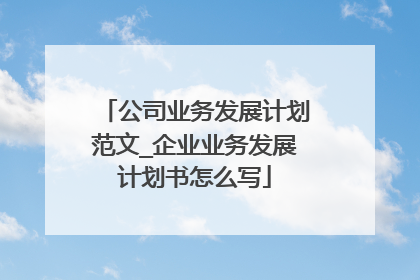 公司业务发展计划范文_企业业务发展计划书怎么写