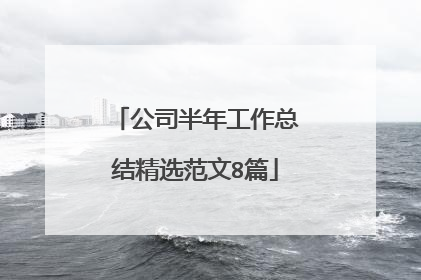 公司半年工作总结精选范文8篇