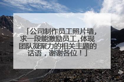 公司制作员工照片墙,求一段能激励员工,体现团队凝聚力的相关主题的话语，谢谢各位！