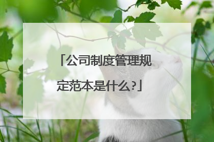 公司制度管理规定范本是什么?