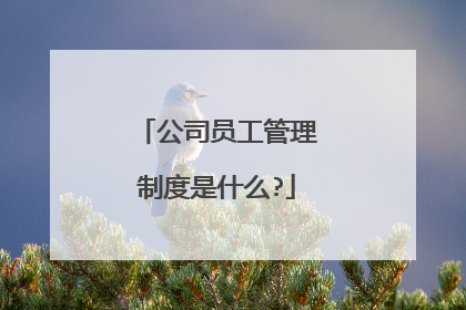 公司员工管理制度是什么?