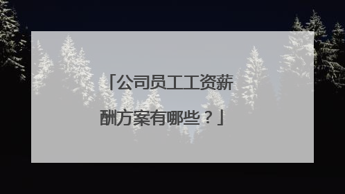 公司员工工资薪酬方案有哪些？