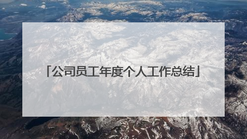 公司员工年度个人工作总结