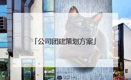 公司团建策划方案
