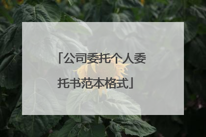 公司委托个人委托书范本格式