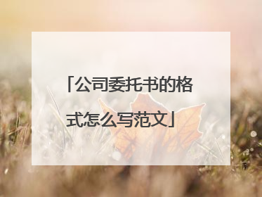 公司委托书的格式怎么写范文