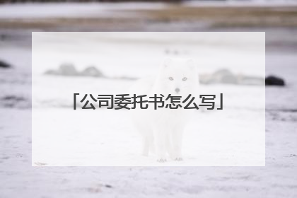 公司委托书怎么写