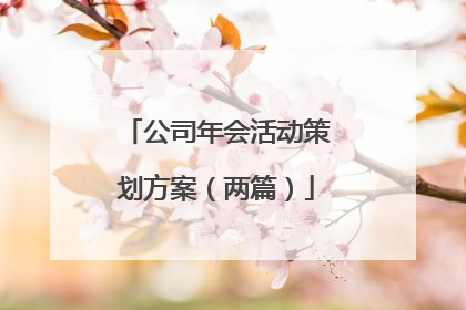 公司年会活动策划方案（两篇）