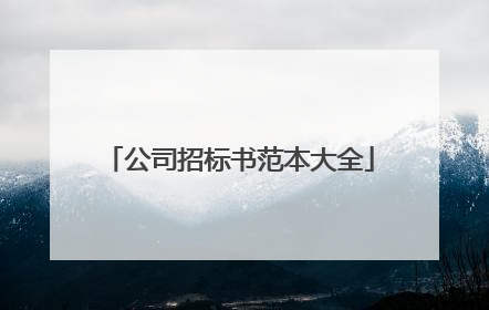 公司招标书范本大全