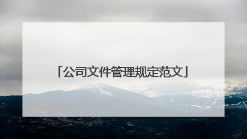 公司文件管理规定范文