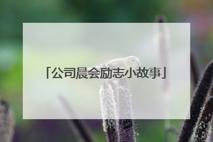 公司晨会励志小故事
