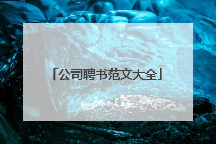 公司聘书范文大全