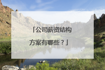 公司薪资结构方案有哪些？
