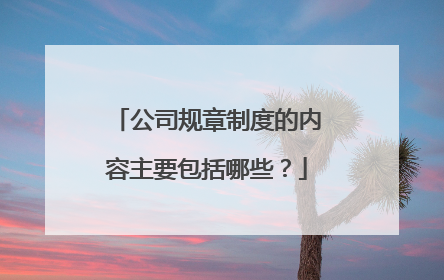 公司规章制度的内容主要包括哪些？