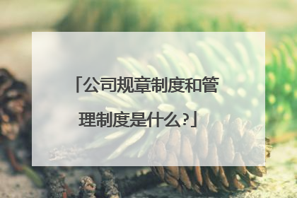 公司规章制度和管理制度是什么?