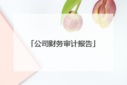 公司财务审计报告