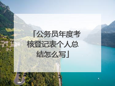 公务员年度考核登记表个人总结怎么写