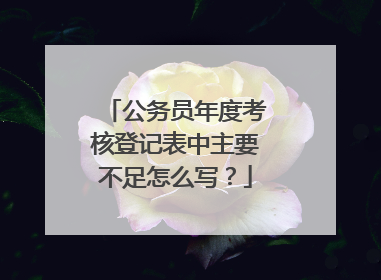 公务员年度考核登记表中主要不足怎么写？