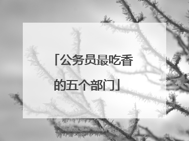 公务员最吃香的五个部门